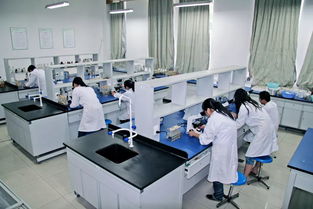 中草藥科技領(lǐng)域的技術(shù)咨詢 賦能醫(yī)學實驗技術(shù)專業(yè)發(fā)展的核心橋梁